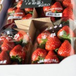 奈良県産の苺の古都華です。甘い苺です！